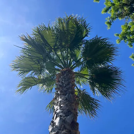 La Bastide D'aiguebelle * Ле-Лаванду